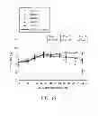 Fig. 16 - Extracts of sp. and active ingredients contained therein in use of arthritis treatment