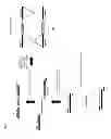 Fig. 07 - Method for transforming a bacterium belonging to the genus by natural competence