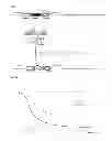 Fig. 08 - Method for transforming a bacterium belonging to the genus by natural competence