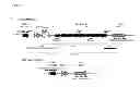 Fig. 09 - Method for transforming a bacterium belonging to the genus by natural competence