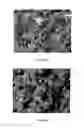 Fig. 04 - Ruminant Mineral Feed Additive