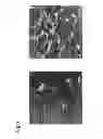 Fig. 02 - Pectic polysaccharide and method for producing same