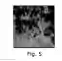 Fig. 06 - THERMAL SPRAY SYNTHESIS OF SUPERCAPACITOR AND BATTERY COMPONENTS