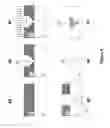 Fig. 10 - METHOD FOR FABRICATING DUAL DAMASCENE PROFILES USING SUB PIXEL-VOTING LITHOGRAPHY AND DEVICES MADE BY SAME