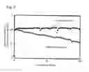 Fig. 07 - SOLID BATTERY