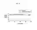 Fig. 05 - Additive for electrolyte and electrolyte and rechargeable lithium battery