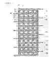 Fig. 08 - Electric storage device and method for producing the same