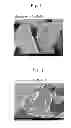 Fig. 02 - LITHIUM CONTAINING COMPOSITE OXIDE POWDER AND MANUFACTURING PROCESS FOR THE SAME