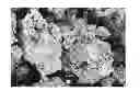 Fig. 01 - Manganese oxide nanoparticles, methods and applications