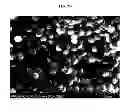 Fig. 04 - SILICON-CARBONACEOUS ENCAPSULATED MATERIALS
