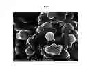 Fig. 11 - SILICON-CARBONACEOUS ENCAPSULATED MATERIALS