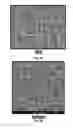 Fig. 04 - Soy protein and carbohydrate containing binder compositions