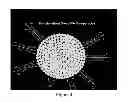 Fig. 05 - Group IVA functionalized particles and methods of use thereof