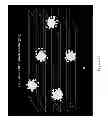 Fig. 10 - Group IVA functionalized particles and methods of use thereof