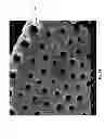 Fig. 08 - Diatomaceous energy storage devices