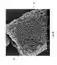 Fig. 16 - Diatomaceous energy storage devices