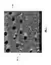 Fig. 22 - Diatomaceous energy storage devices