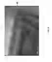 Fig. 23 - Diatomaceous energy storage devices