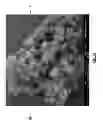 Fig. 25 - Diatomaceous energy storage devices