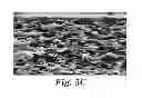 Fig. 06 - Microporous PVDF films