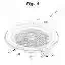Fig. 02 - Fuel and a fuel burning system and method