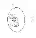 Fig. 06 - Fuel and a fuel burning system and method