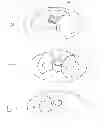 Fig. 08 - Fuel and a fuel burning system and method