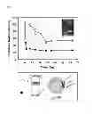 Fig. 05 - USE OF PROTEIN NANOPARTICLE BASED HYDROGEL