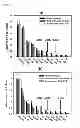 Fig. 07 - USE OF PROTEIN NANOPARTICLE BASED HYDROGEL