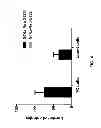 Fig. 06 - HCV genotype 6 replicons
