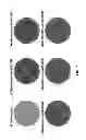 Fig. 09 - HCV genotype 6 replicons
