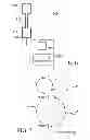 Fig. 05 - LIGHT COLLECTION SYSTEM