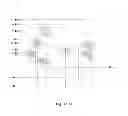 Fig. 14 - Nucleic acid sequencing using tags