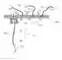 Fig. 01 - Concentrating a target molecule for sensing by a nanopore