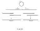 Fig. 04 - Method for DNA double-strand break repair in vitro and applications thereof