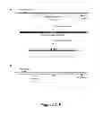 Fig. 07 - Method for DNA double-strand break repair in vitro and applications thereof