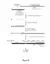 Fig. 08 - Method for DNA double-strand break repair in vitro and applications thereof