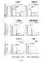 Fig. 02 - Methods for determining developmental stage of human cumulus cells