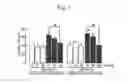 Fig. 02 - Method for determining depression, kit for analyzing serotonin transporter, and kit for analyzing ubiquitinated serotonin transporter in blood