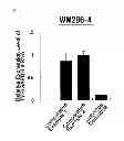 Fig. 02 - Composition for controlling chromogenesis including microRNA