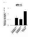 Fig. 04 - Composition for controlling chromogenesis including microRNA