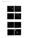 Fig. 08 - METHODS OF MODULATING SMYD3 FOR TREATMENT OF CANCER