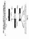 Fig. 02 - Gene Defects And Mutant ALK Kinase In Human Solid Tumors