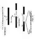 Fig. 04 - Gene Defects And Mutant ALK Kinase In Human Solid Tumors