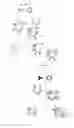 Fig. 01 - METHOD OF ISOLATING OR COUNTING TARGET CELLS BY USING PHOTOCLEAVABLE LINKER COUPLED WITH FLUORESCENT DYE