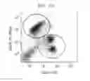Fig. 06 - METHOD OF ISOLATING OR COUNTING TARGET CELLS BY USING PHOTOCLEAVABLE LINKER COUPLED WITH FLUORESCENT DYE