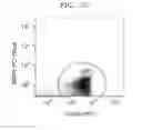 Fig. 08 - METHOD OF ISOLATING OR COUNTING TARGET CELLS BY USING PHOTOCLEAVABLE LINKER COUPLED WITH FLUORESCENT DYE