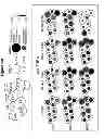 Fig. 28 - Induced intercellular communication