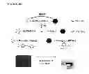 Fig. 06 - Screening methods for identifying proteases inhibitors