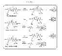 Fig. 02 - PSA ENZYMATIC ACTIVITY:  A NEW BIOMARKER FOR ASSESSING PROSTATE CANCER AGGRESSIVENESS